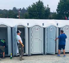 Types of Portable Toilets We Offer in Farmington, IL